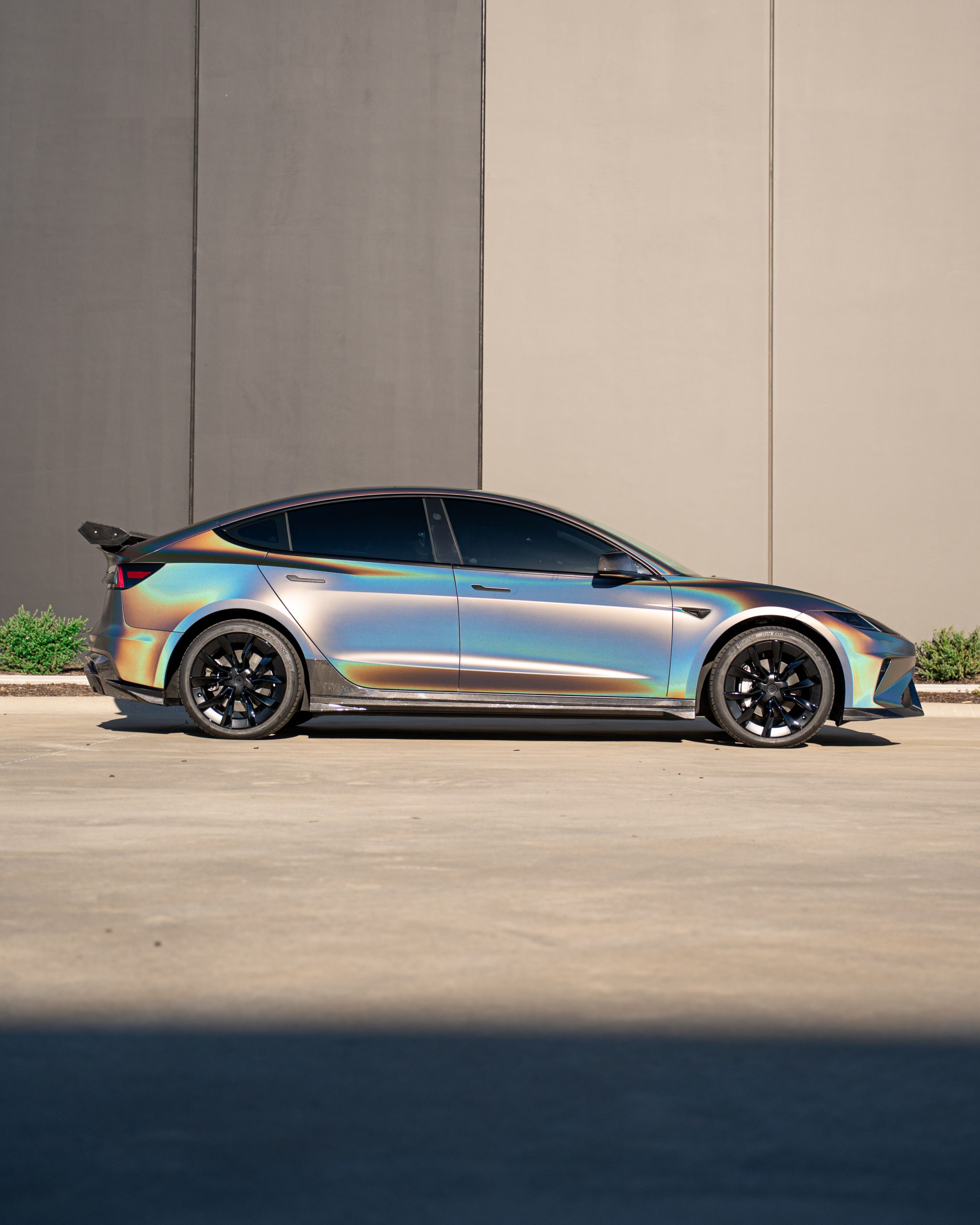 mwg tesla ppf